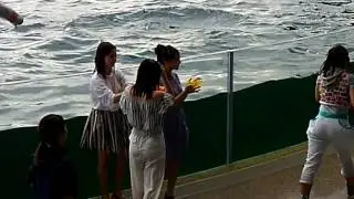 京都水族館🐬ウォータースプラッシュ‼