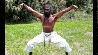 Okinawan Shuri-Ryu 5 Animal Forms