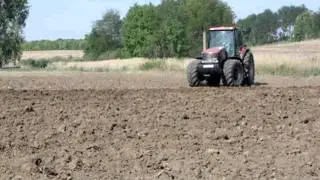 Case IH MX270+Pietro Moro 5 fejes eke.