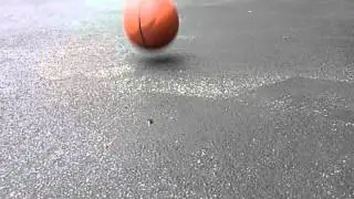 Die Stink Bug Die!