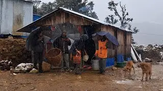 Living Naturally in a Freezing Mountain Village | Snowfall, Organic Food & Daily Survival Life🌧️🌧️🌧️