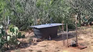 Water Guzzler for deer and wildlife to help your bowhunting