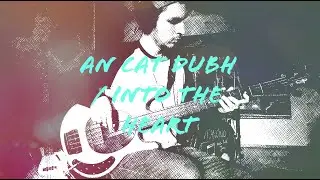 U2 An Cat Dubh / Into the Heart Live Vertigo Chicago Bass Cover TABS daniB5000