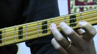 Willows Spunky Standard Bass - 
