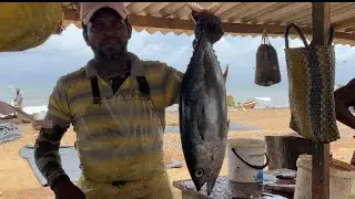 yellowfin tuna cutting amazing show 🔥 | Mr. jude