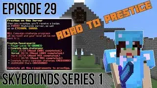 ROAD TO PRESTIGE Minecraft Skybounds - Robots Island - Episode 29