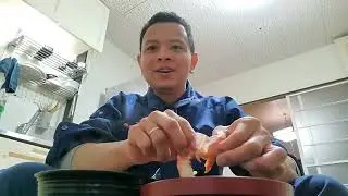 CHUẨN BỊ VỀ VIỆT NAM | Cuộc Sống Nhật | # 1311