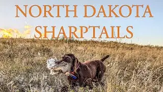 Sharptail Hunting Vol 1 - 2024 - North Dakota