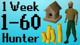 [OSRS] 1-60 Hunter in 1 Week Without Training Hunter