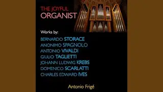 Sonata per organo pleno e flauto in ottava in G Major