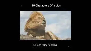 10 Characters Of a Lion