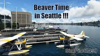 MSFS 2020/Real Pilot/DeHavilland Beaver DHC-2 Seaplane/Seattle/Floats