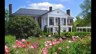 Boone Hall Plantation - Contino Wedding - 2017