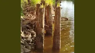 The Hyenne Angels