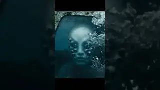 The Plane Was Breathing#HauntedPlane #DeepSeaHorror#UnnaturalMovement  #EchoesBelow#underwaterhorror