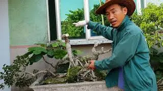 Ts1015. C&Acirc;Y KH&Aacute;CH TRẢ 16 TRIỆU C&Ocirc; KH&Ocirc;NG B&Aacute;N ,CẮT ĐỂ CHO ĐẸP