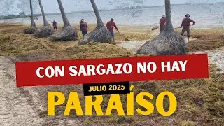 Antes de Viajar a CANC&Uacute;N o TULUM: MIRA la VERDAD del SARGAZO (Julio 2025)