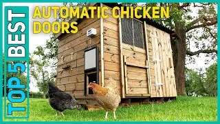 Best Automatic Chicken Doors in 2021 [Top 5 Best Automatic Chicken Doors]