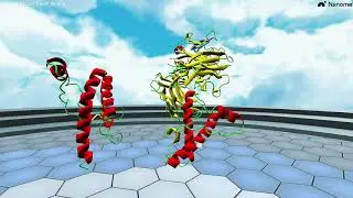 Protein Structure (Part 10 of 10) - Clinical Correlate: Prions