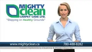 Carpet Cleaning Edmonton Mighty Clean Price Guides