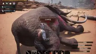 How to kill an Elephant and acquire Thick Hide/Exotic Flesh on Conan Exiles