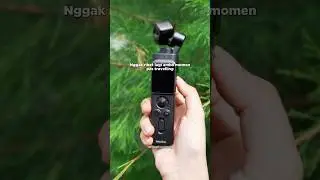 Momen liburan bisa disimpan selamanya