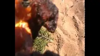 MOV09E