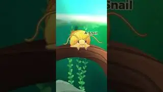 Creatures you can expect to see in Pondlife