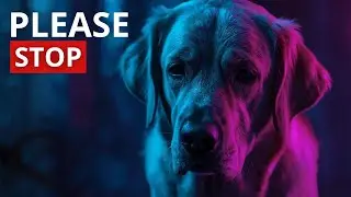 7 Things You Do That Break Your Dog&rsquo;s Heart (Without Knowing)