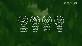 Ginseng Coffee -health and wealth happiness