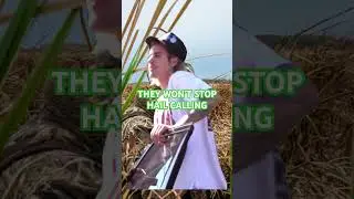 Stop hail calling please #duckhunting #hunting #shortsfeed #shortsvideo #duckcalls #marsh #river