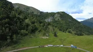 Transhumance brebis 2025