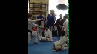 Alexander Tae Kwon Do High Red Belt-4