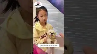 Ba ba v&agrave; chị hai nhận c&aacute;i kết đắng #cat #pets #cute