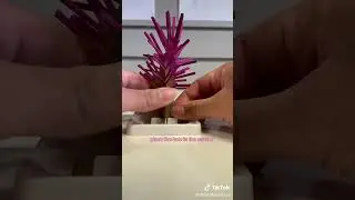 Trying Out Crystal Growing Trees!