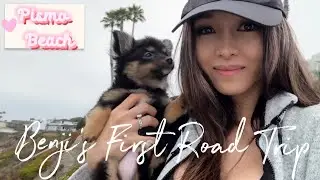 Benji&rsquo;s First Dog-Friendly Adventures: Santa Barbara, Pismo Beach, San Simeon, Westlake Villlage