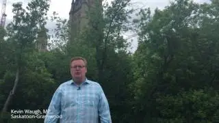 Plaid For Dad - June 16th
