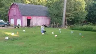 AKC Virtual Rally Novice Course #3