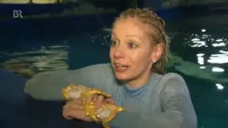 Daniela Rodler - BR Abendschau 26.08.2014