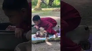 lawak raya haji tahun 2025 adik ni buat kepala lembu race