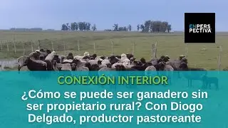 La oveja criolla y el camino de una familia en proceso de retornar al campo
