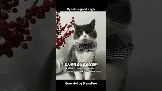 My cat is a good singer#dreamface #pets #ai #lipsync #cat