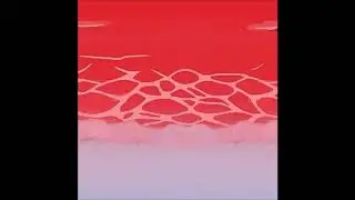 39. RHISIS - Clear [07.12.2018]