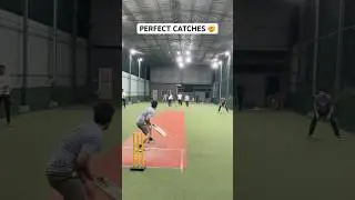 Perfect Catches 😍 Cricket Fielding Mind Blowing Catches😨🔥 #cricket #shorts #ipl #catch