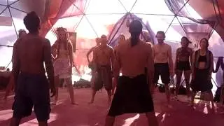 VITAL FORCE 12 - BURNING MAN 2013 - SACRED SPACES