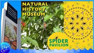 Orb Weaver Spiders | Spider Pavilion at Natural History Museum of Los Angeles