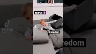 When boredom strikes a Taurus, the Taurus strikes boredom. #viral  #taurus #funny #bored #zodiac