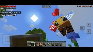 I found a bee biome in the Minecraft world