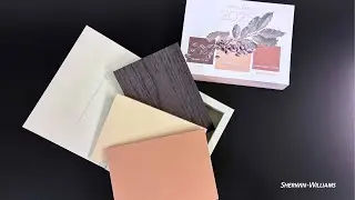 ➡️ Sherwin-Williams Colour Trend Capsule Collection 2025 | How to apply SHIITAKE SW 9173