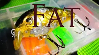 Щука на воблер FAT лучший для начинающих спиннингистов